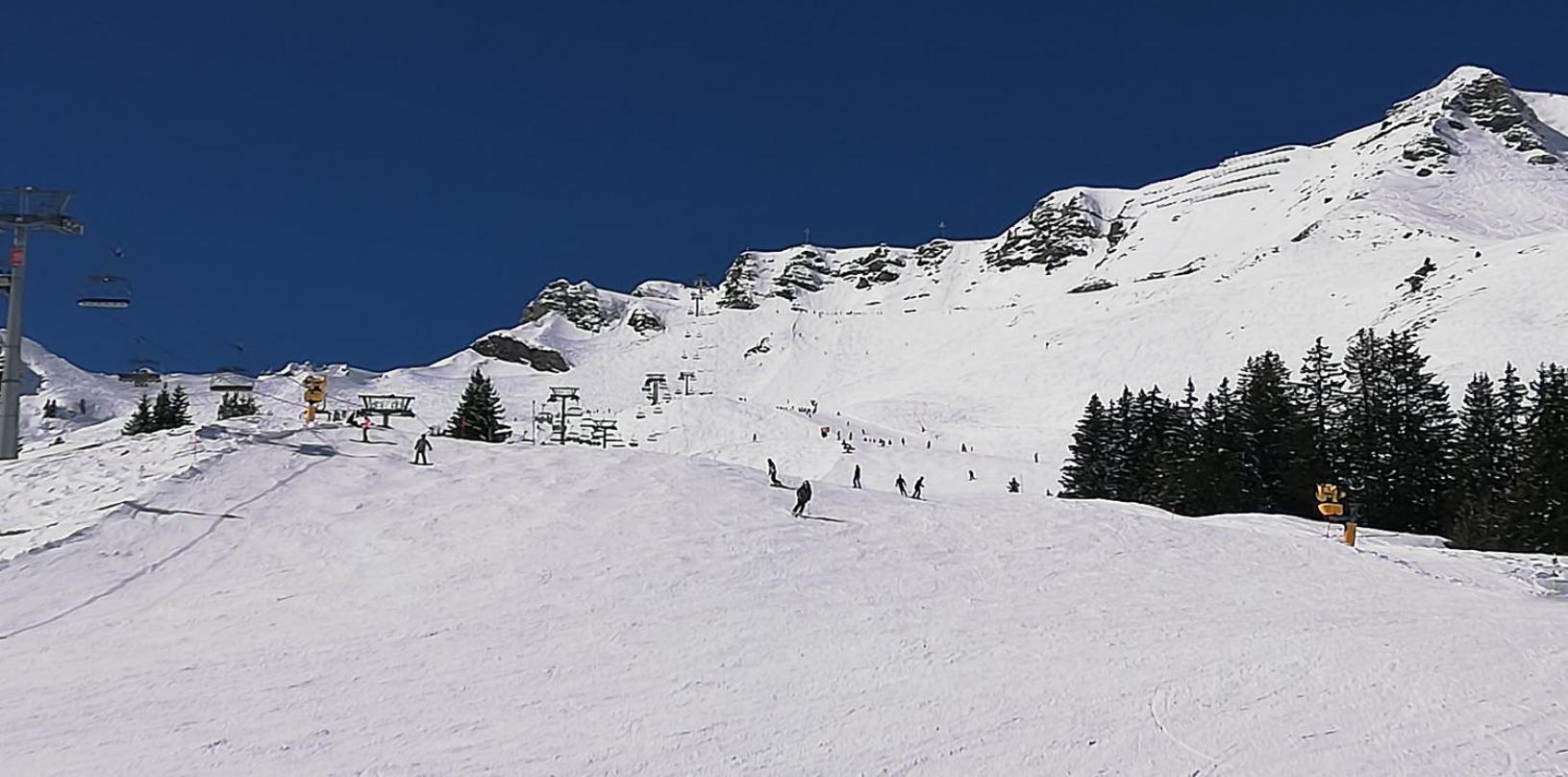 Bonavau studio3 Champéry Extérieur photo